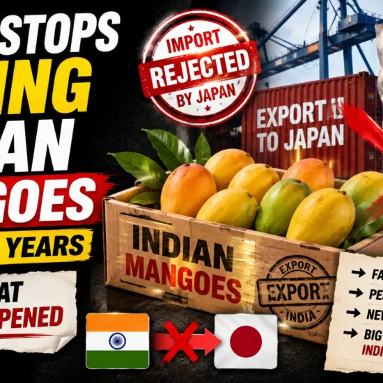 Japan Stops Buying Indian Mangoes After 20 Years